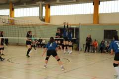 IMG_6882